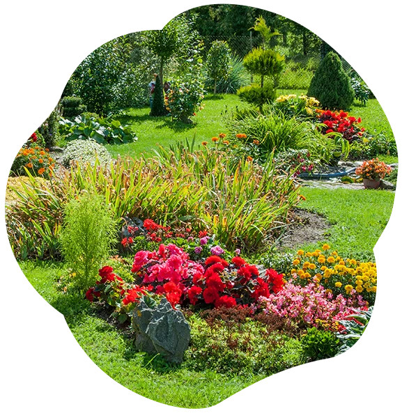 Flores para un jardin lleno de vida